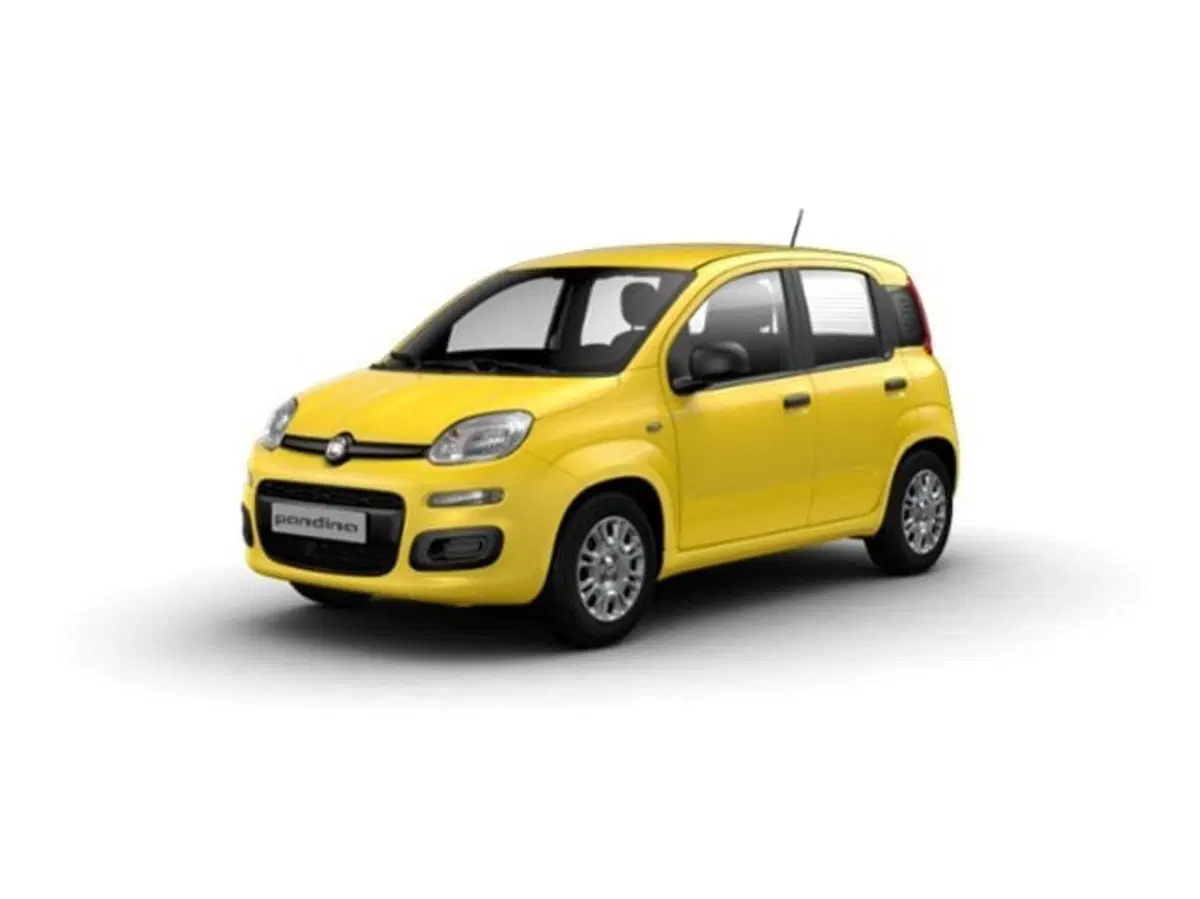 Fiat Pandina nuova a Firenze