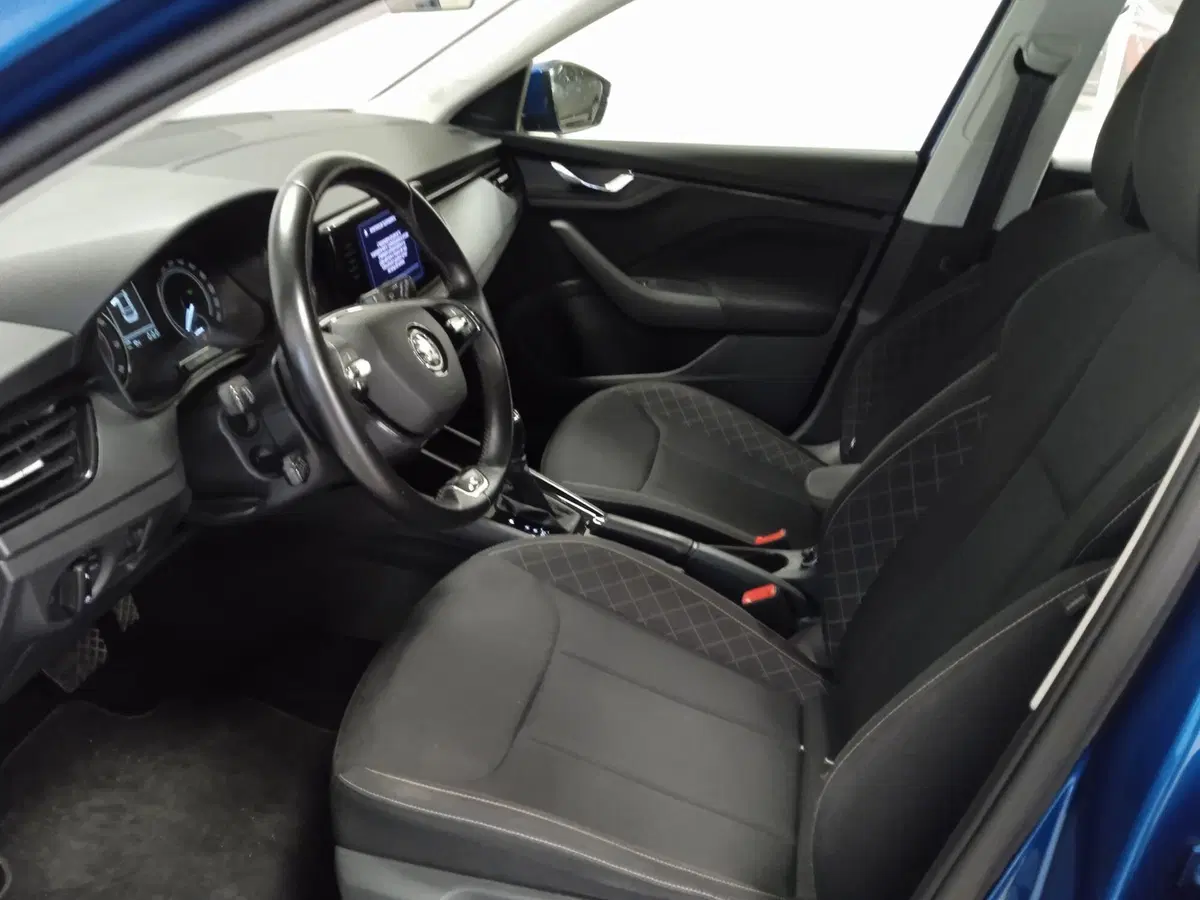 Skoda Kamiq usata a Torino (10)