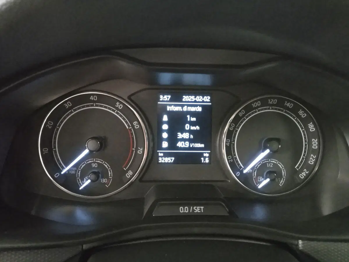 Skoda Kamiq usata a Torino (12)
