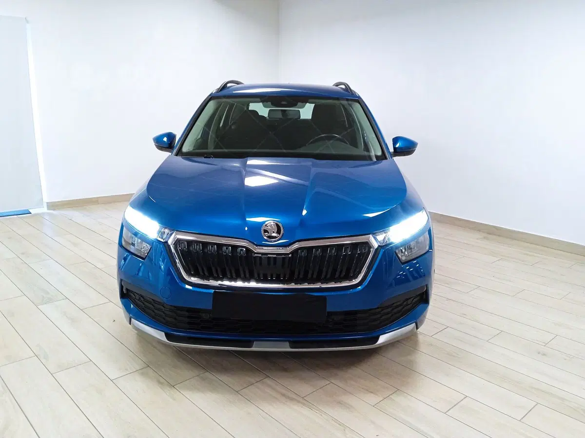 Skoda Kamiq usata a Torino (2)