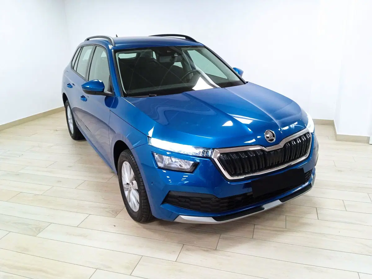 Skoda Kamiq usata a Torino (3)