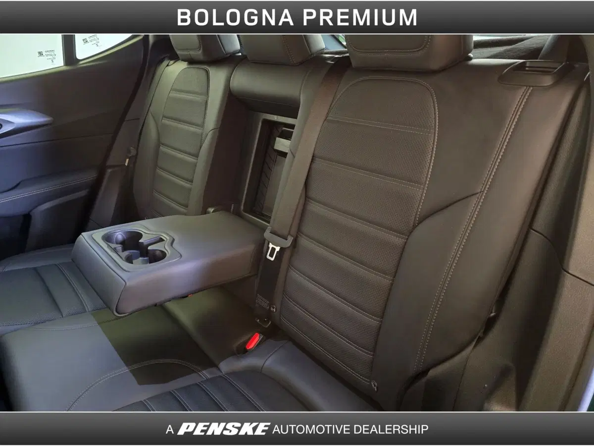 Alfa Romeo Tonale usata a Bologna (17)
