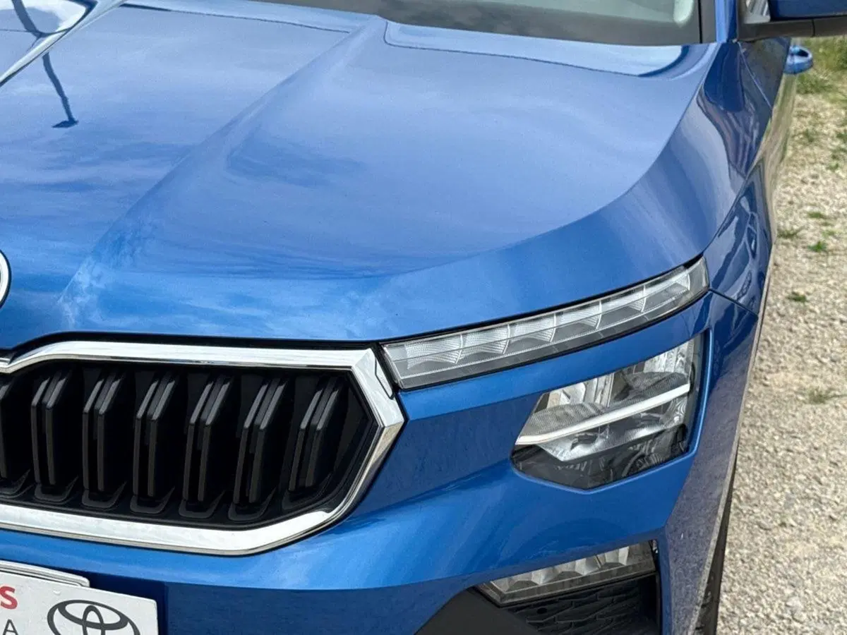 Skoda Kamiq usata a Palermo (13)