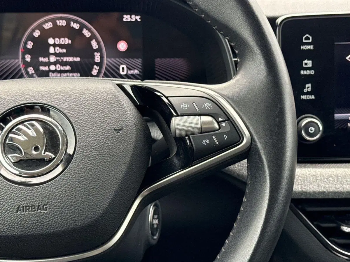 Skoda Kamiq usata a Palermo (19)