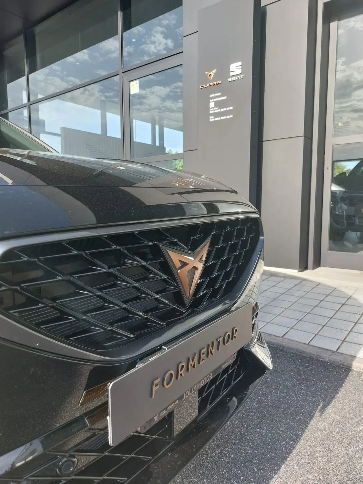 Cupra Formentor usata a Frosinone (14)