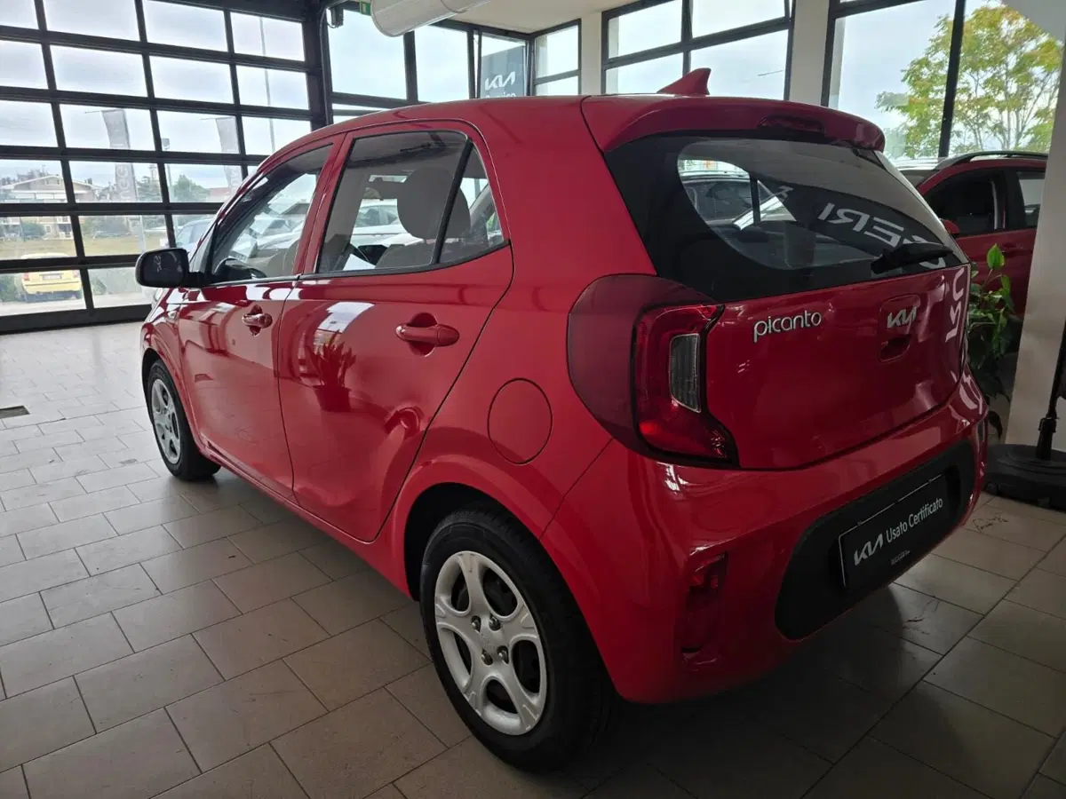 Kia Picanto usata a Rimini (5)