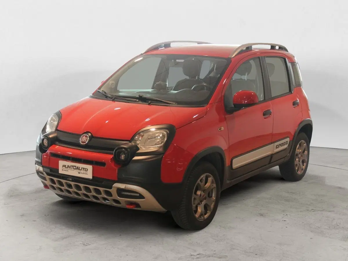 Fiat Panda Cross usata a Cuneo