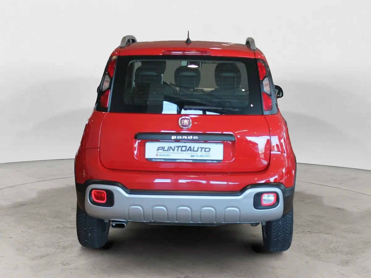 Fiat Panda Cross usata a Cuneo (5)