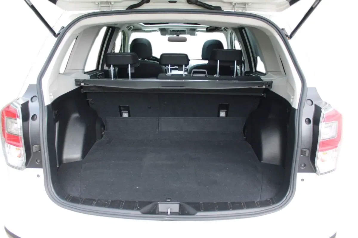 Subaru Forester usata a Cuneo (14)