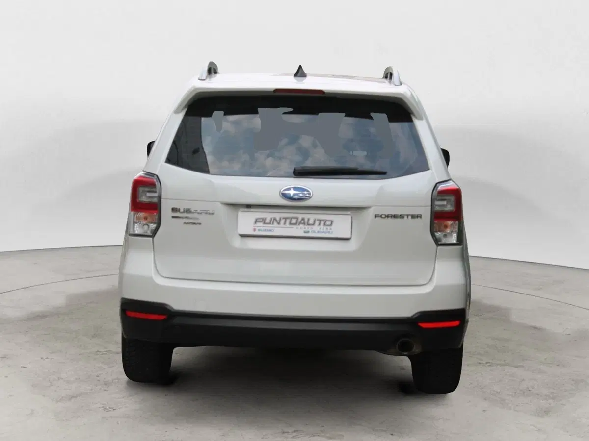 Subaru Forester usata a Cuneo (4)