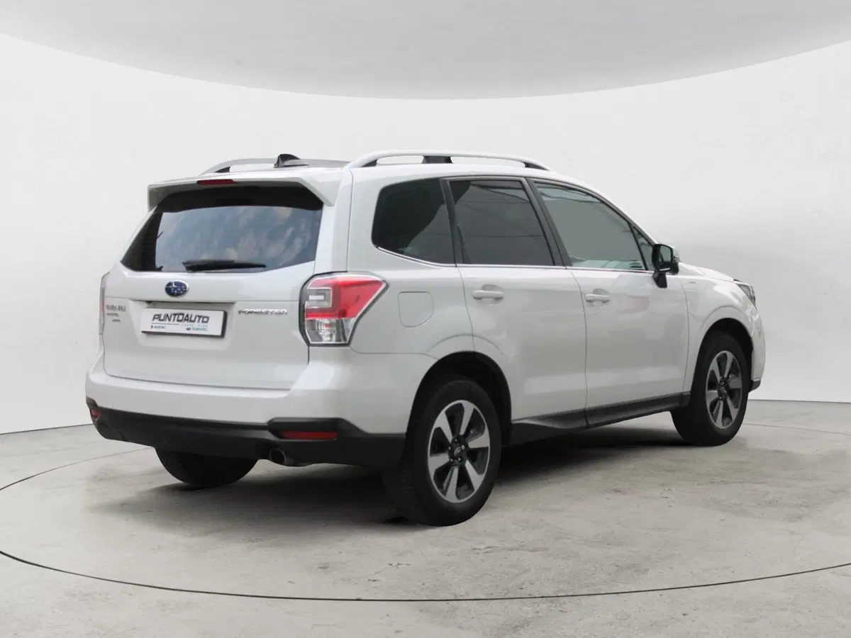 Subaru Forester usata a Cuneo (5)
