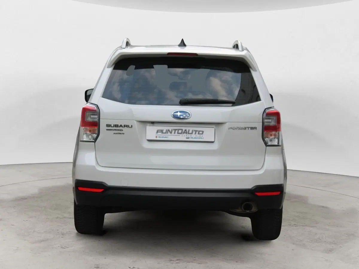 Subaru Forester usata a Cuneo (6)