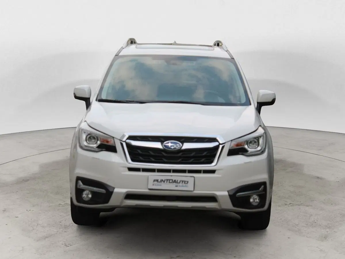 Subaru Forester usata a Cuneo (8)
