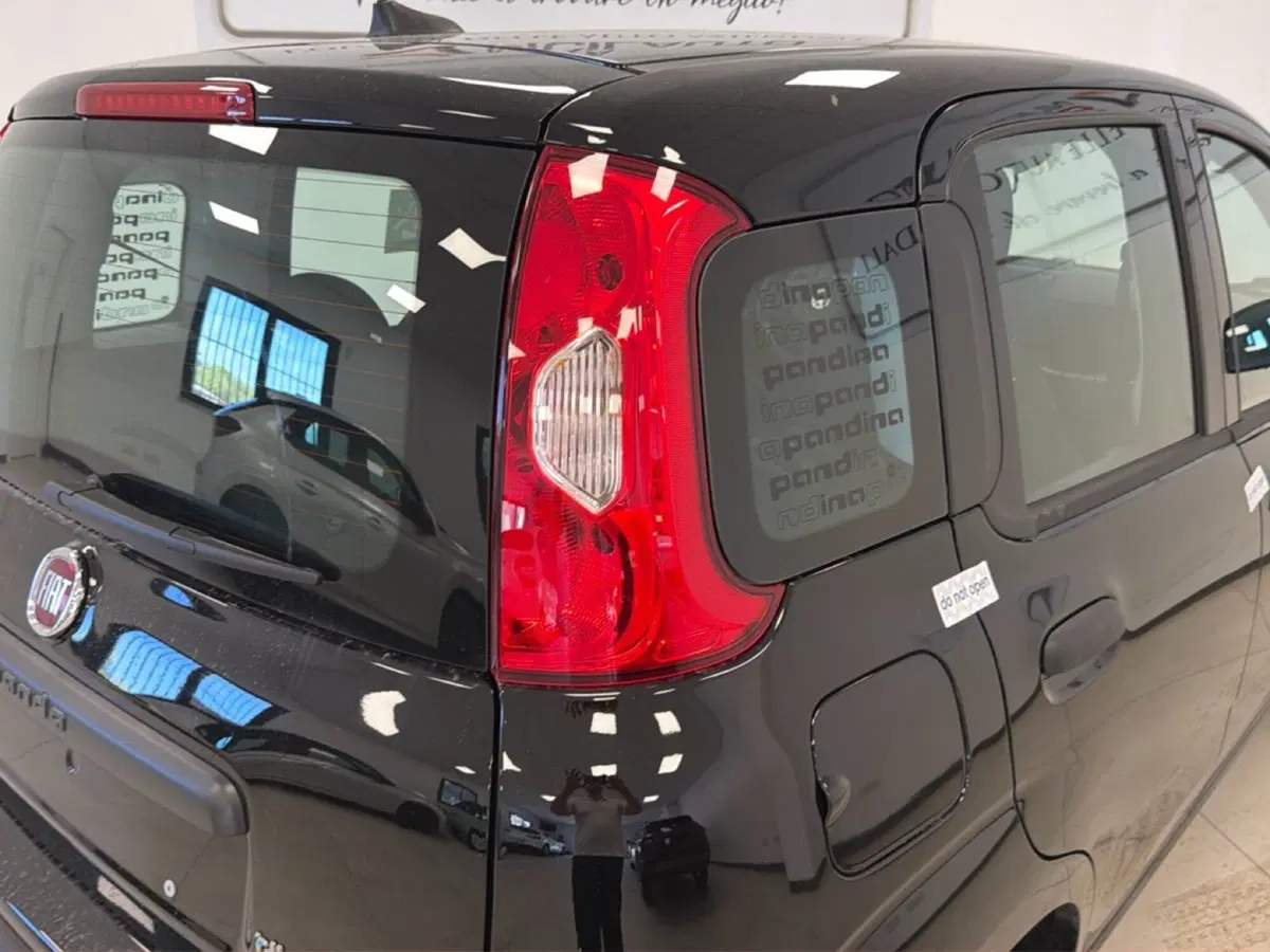 Fiat Pandina nuova a Palermo (16)