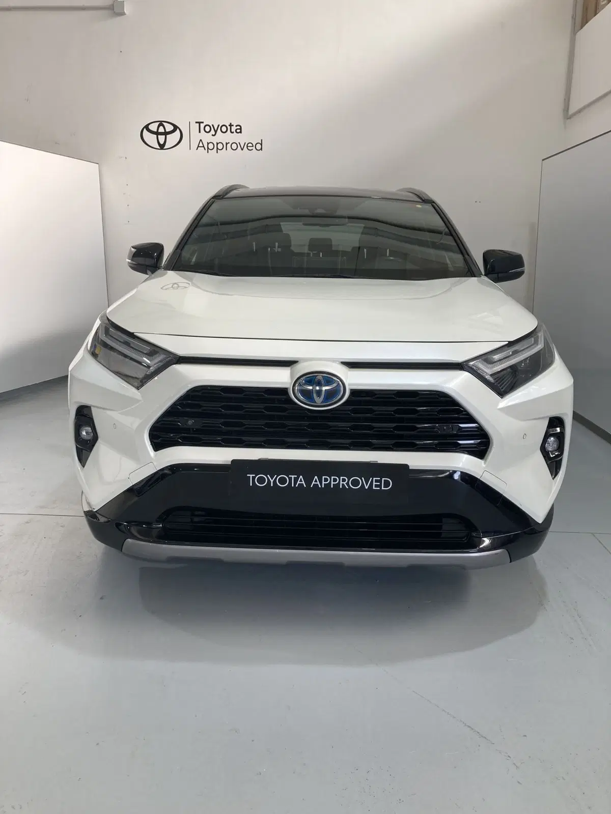 Toyota Rav4 usata a Barletta-Andria-Trani (3)