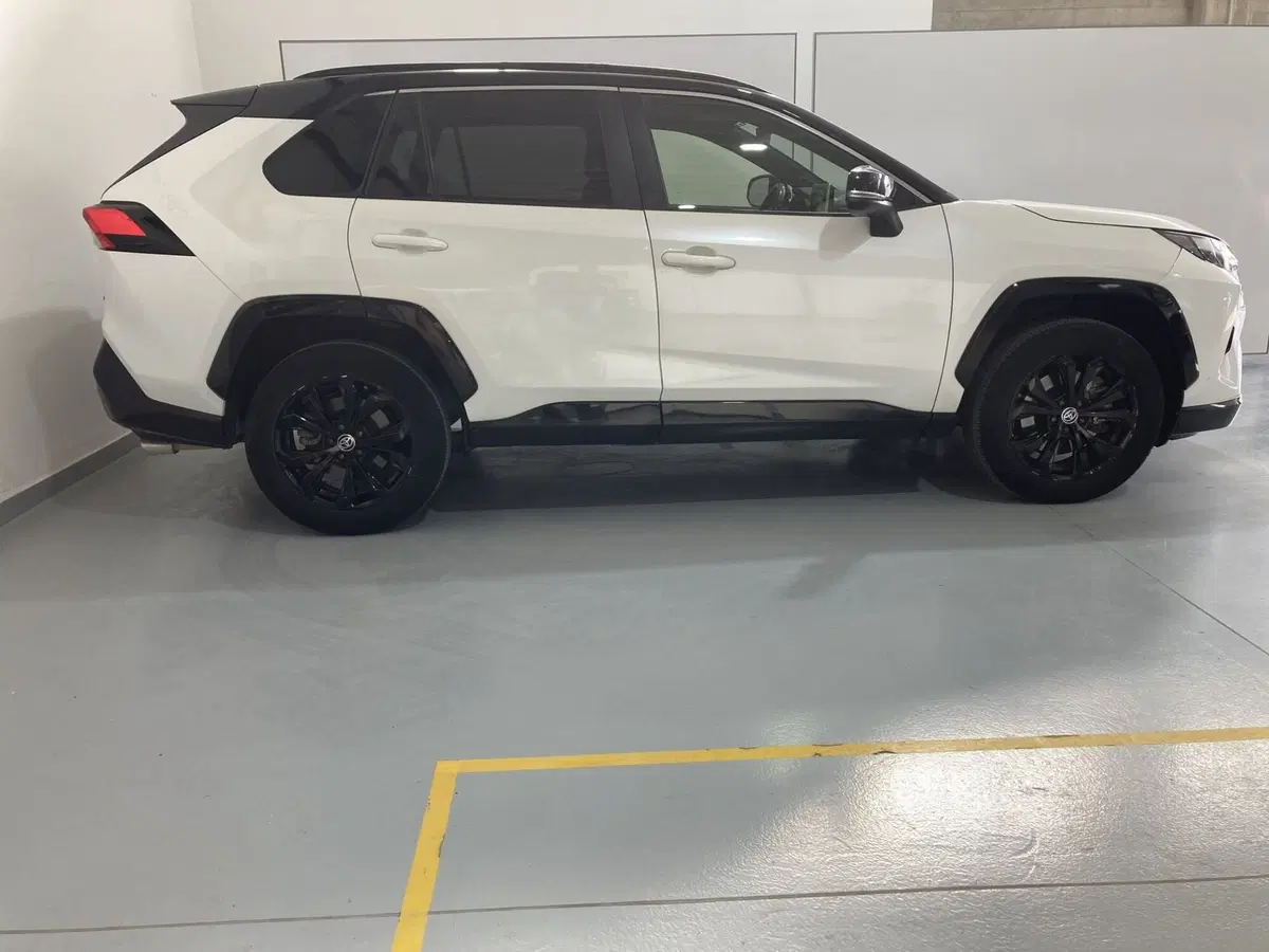Toyota Rav4 usata a Barletta-Andria-Trani (4)