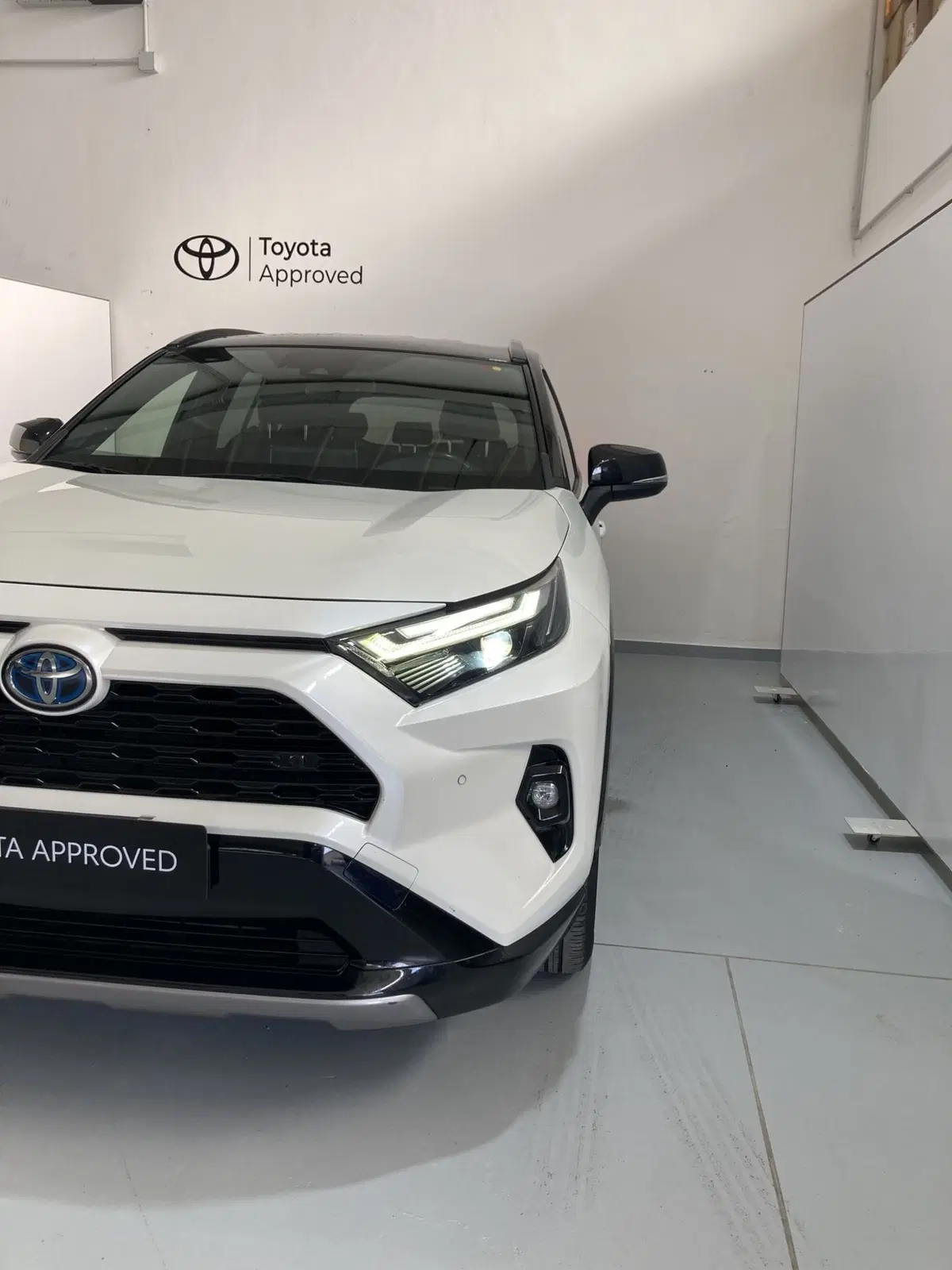 Toyota Rav4 usata a Barletta-Andria-Trani (5)