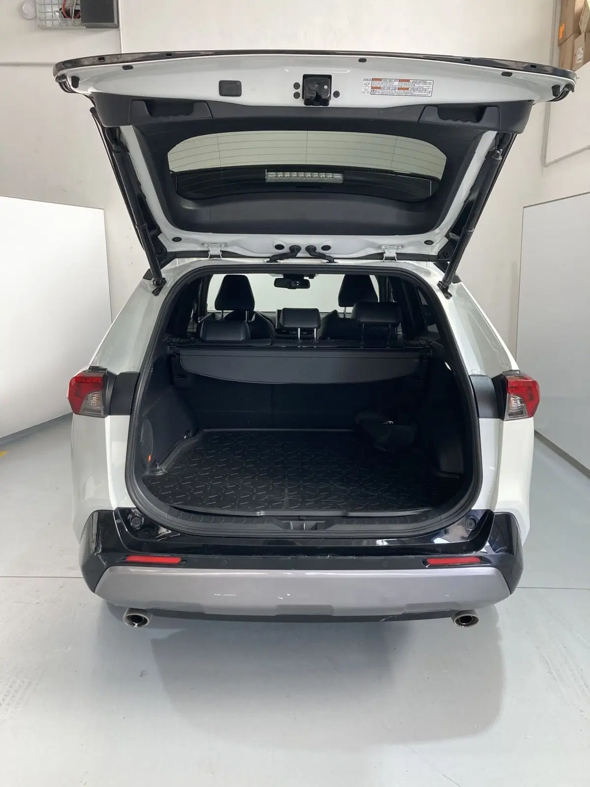 Toyota Rav4 usata a Barletta-Andria-Trani (8)