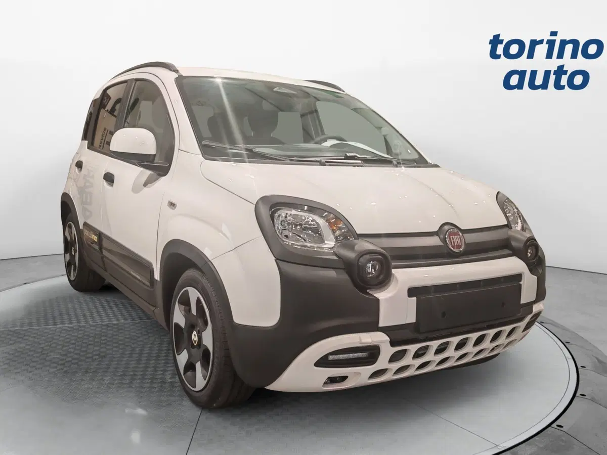Fiat Pandina nuova a Torino