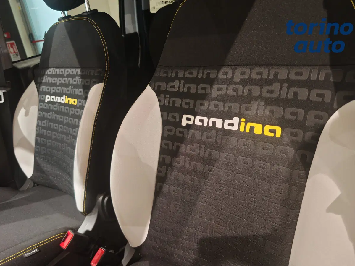 Fiat Pandina nuova a Torino (11)