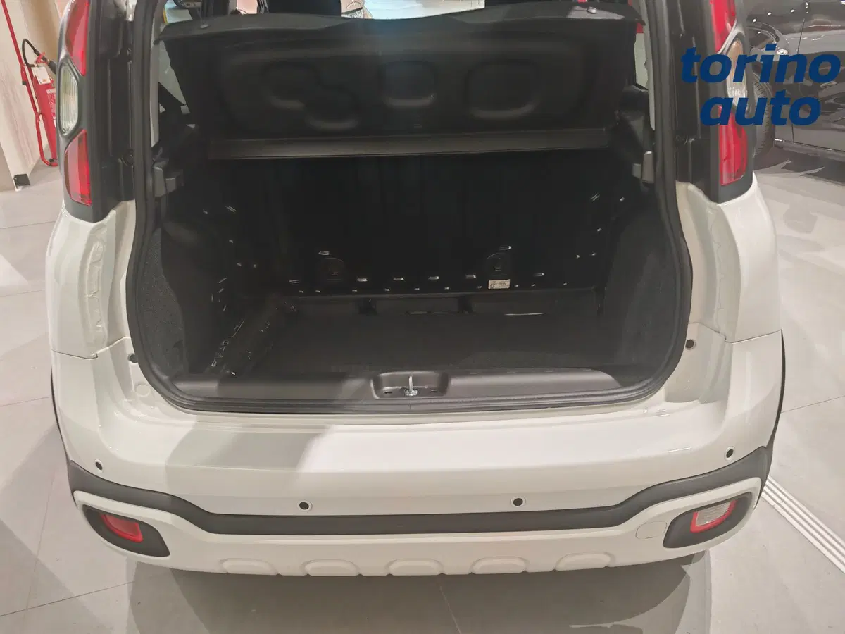 Fiat Pandina nuova a Torino (18)