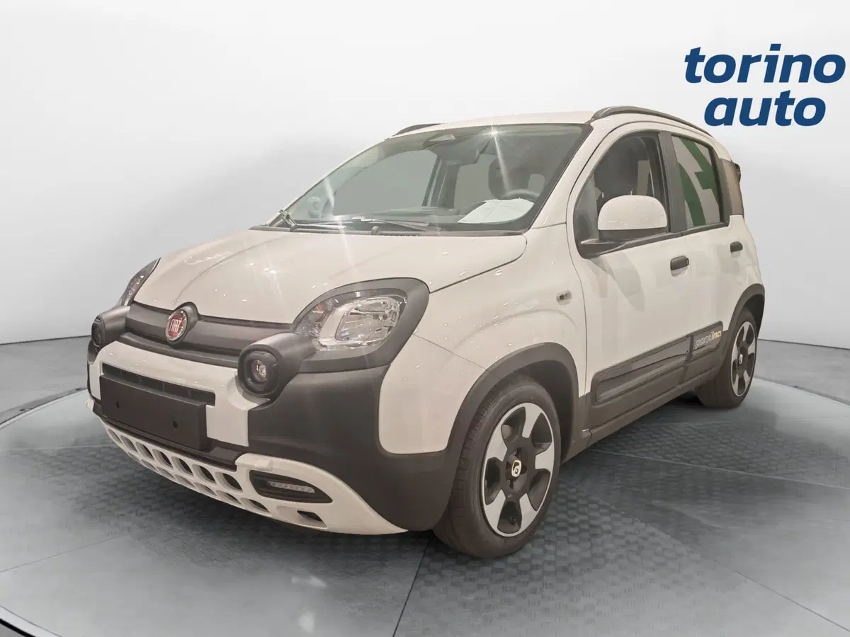 Fiat Pandina nuova a Torino (2)