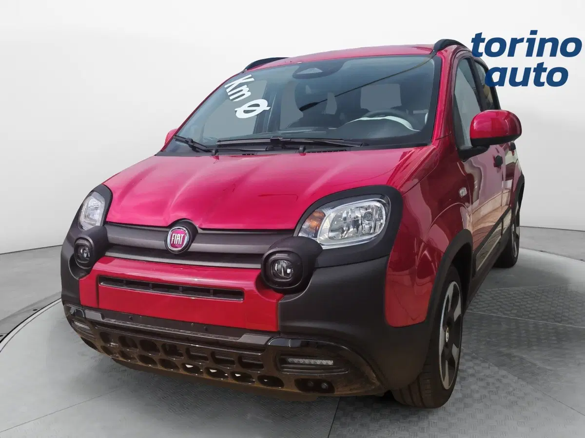 Fiat Pandina nuova a Torino (3)