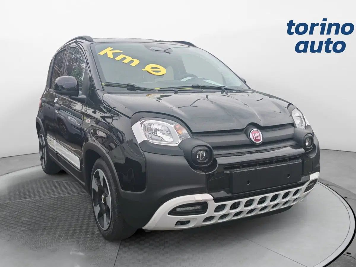 Fiat Pandina nuova a Torino