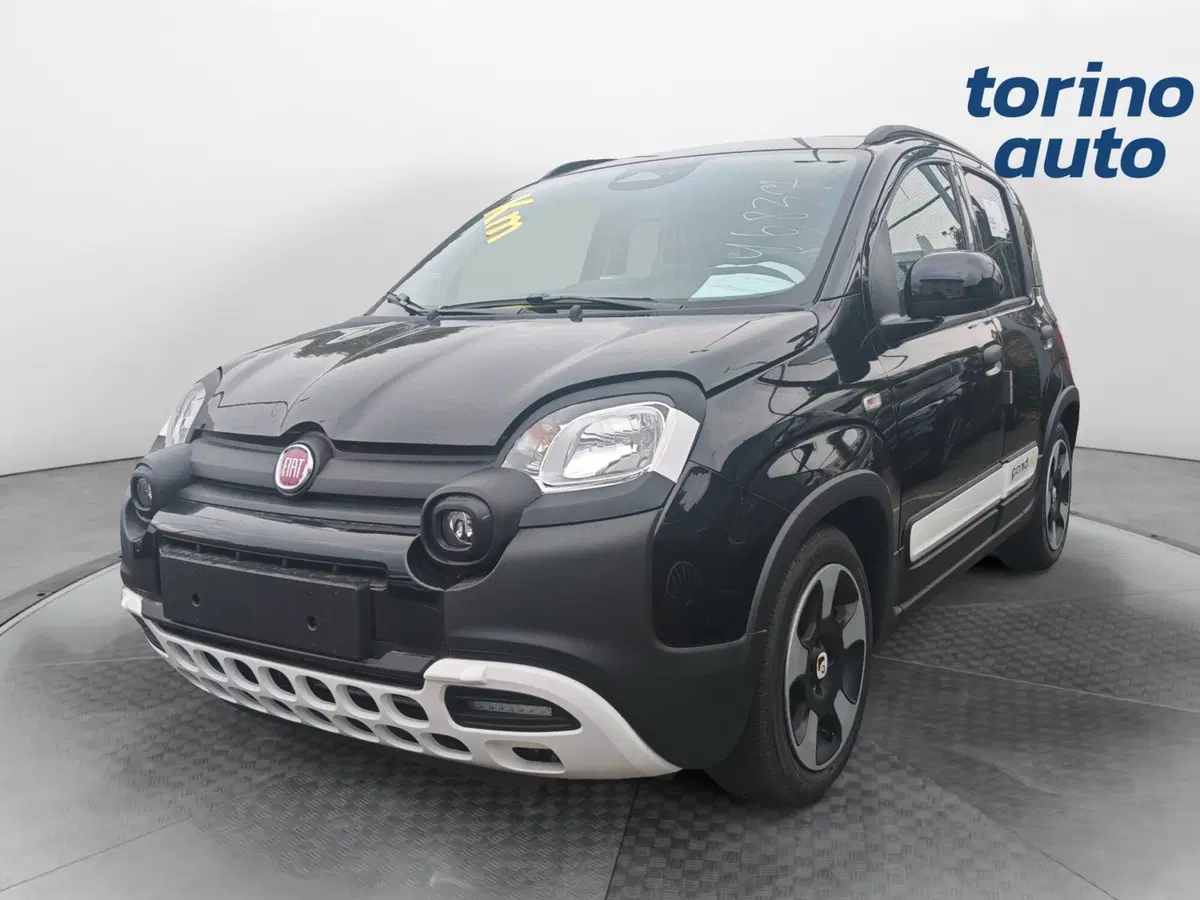 Fiat Pandina nuova a Torino (2)