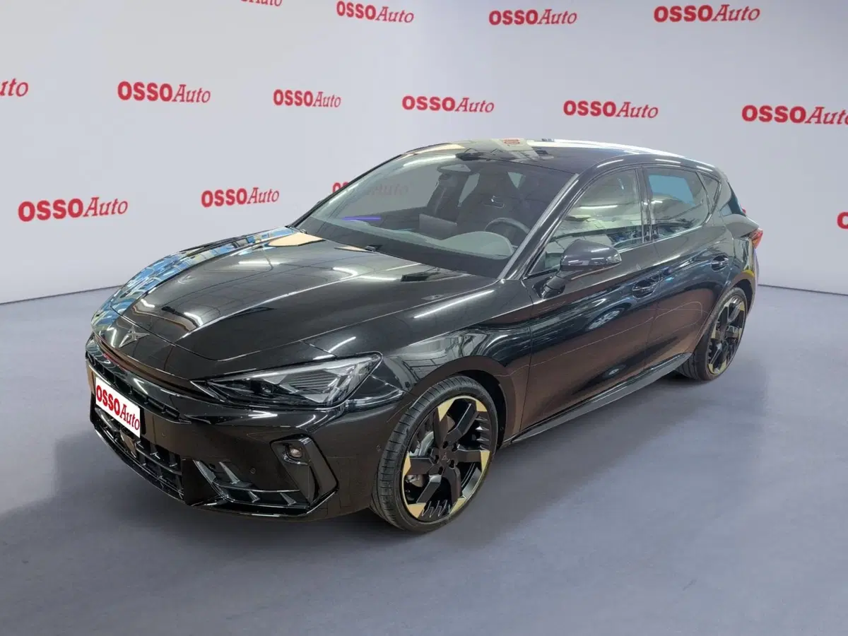 Cupra Leon usata a Udine