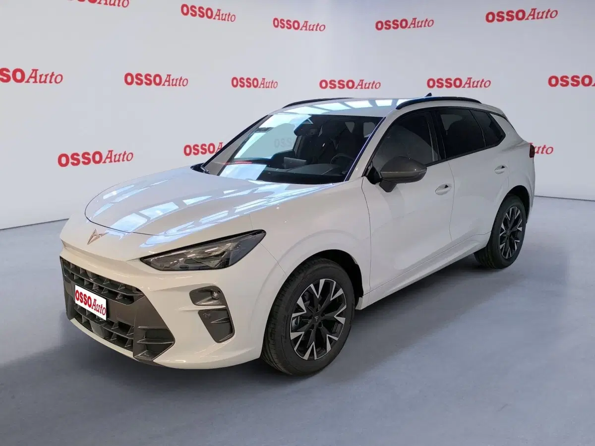 Cupra Terramar usata a Udine