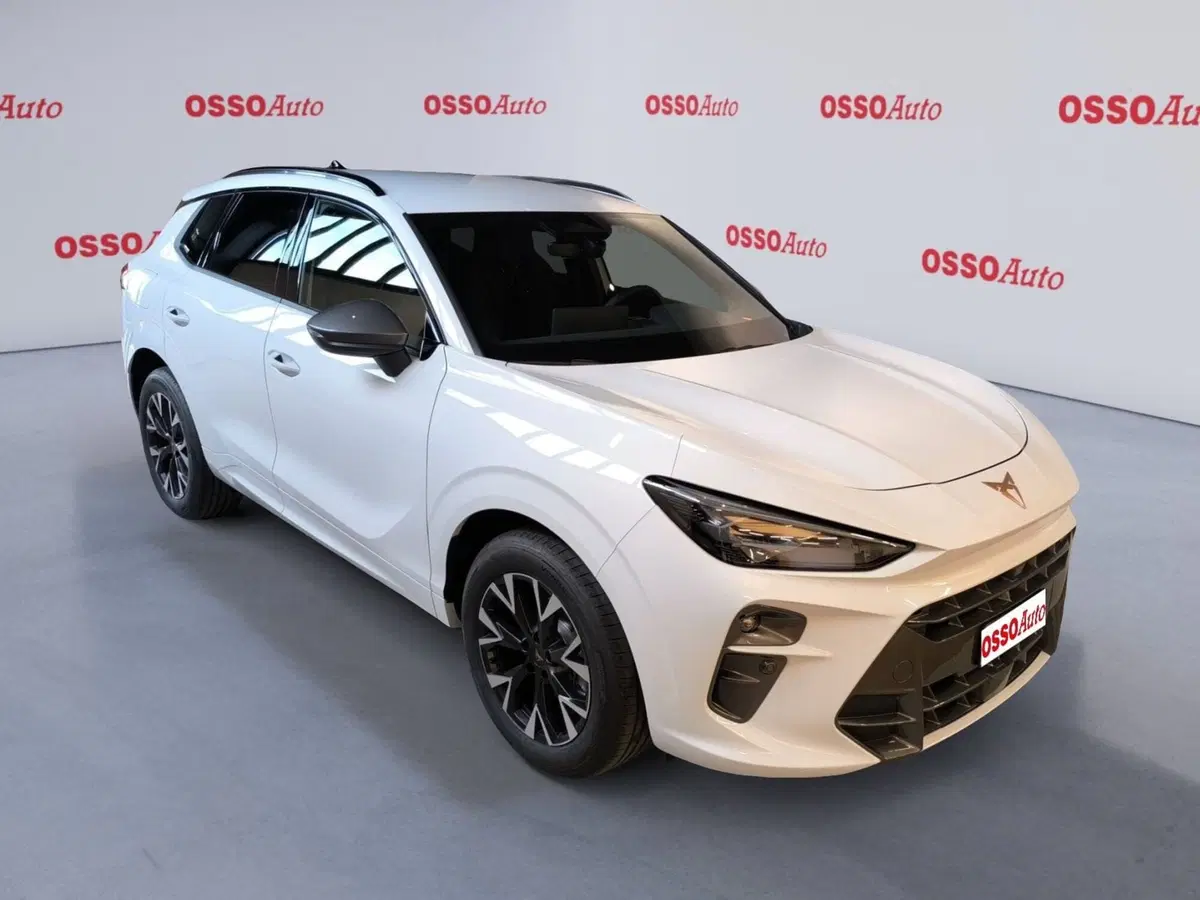 Cupra Terramar usata a Udine (2)