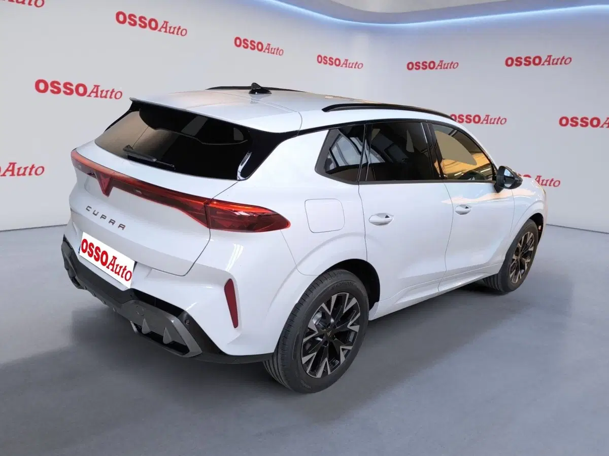 Cupra Terramar usata a Udine (3)
