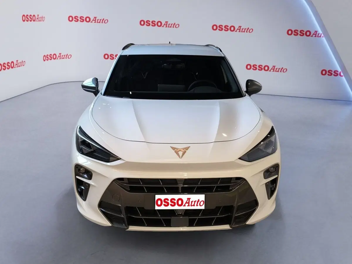 Cupra Terramar usata a Udine (5)