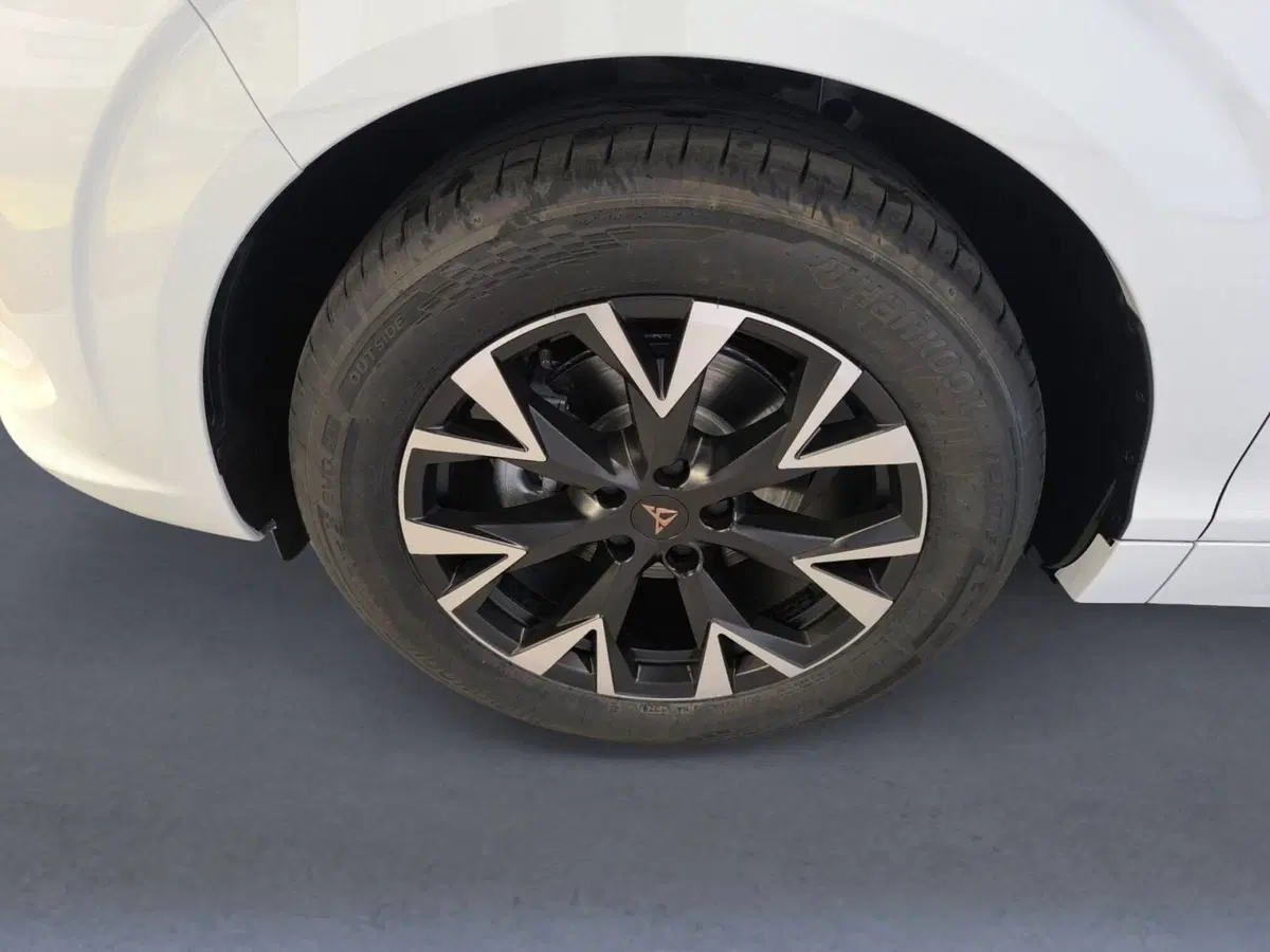 Cupra Terramar usata a Udine (7)