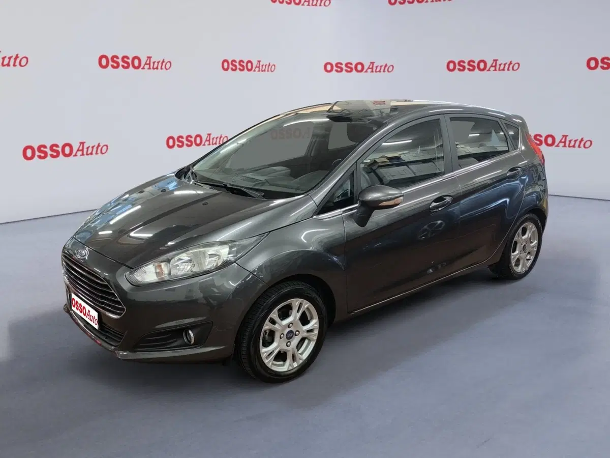 Ford Fiesta usata a Udine