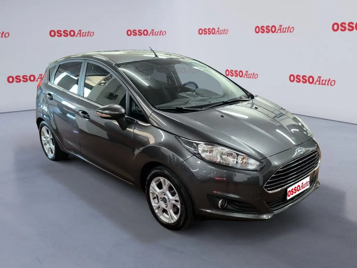 Ford Fiesta usata a Udine (2)