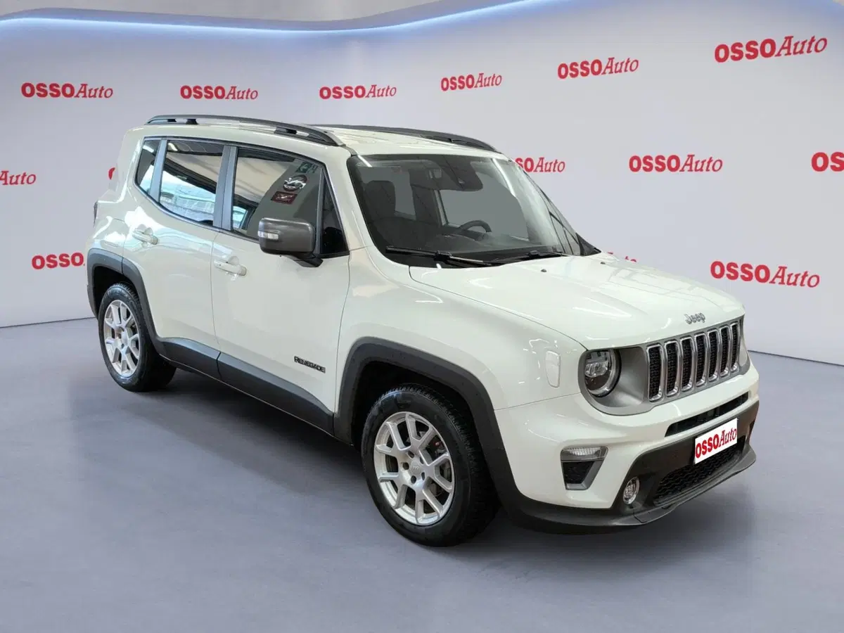 Jeep Renegade usata a Udine (2)