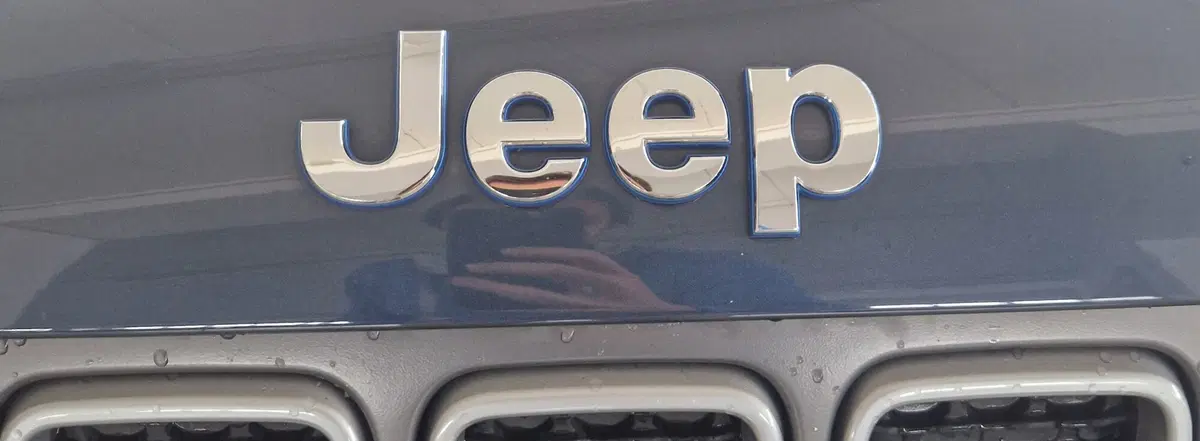Jeep Renegade usata a Terni (20)