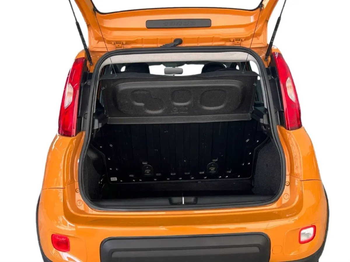 Fiat Panda usata a Roma (10)
