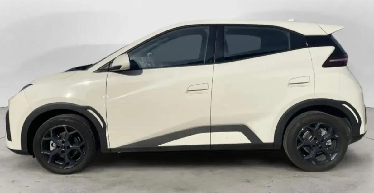 Byd Dolphin Surf usata a Bologna (2)