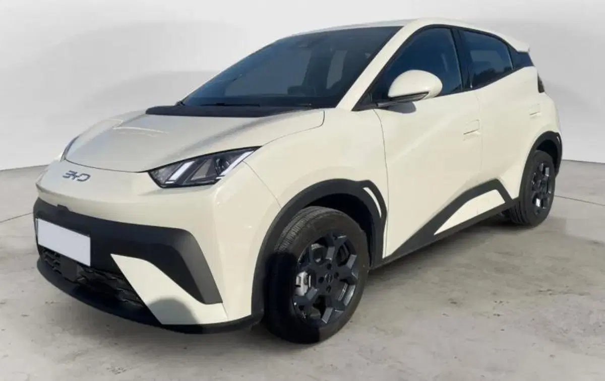 Byd Dolphin Surf usata a Bologna (3)