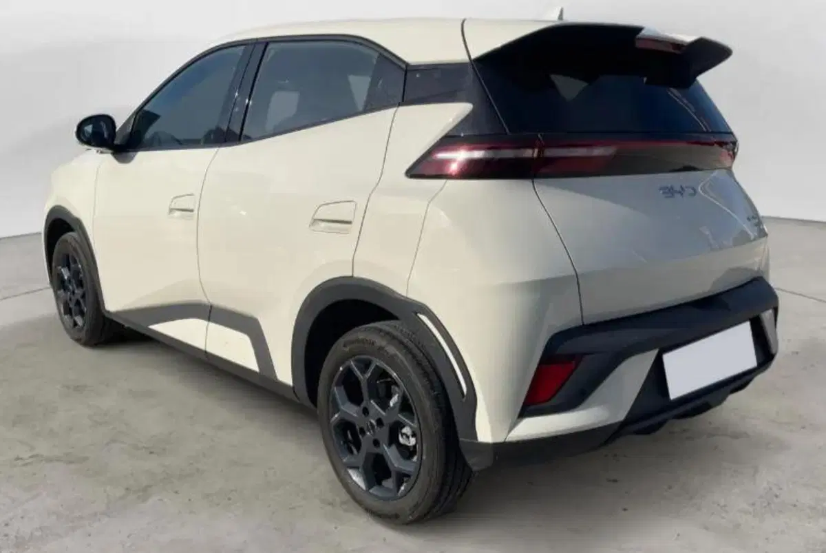 Byd Dolphin Surf usata a Bologna (4)