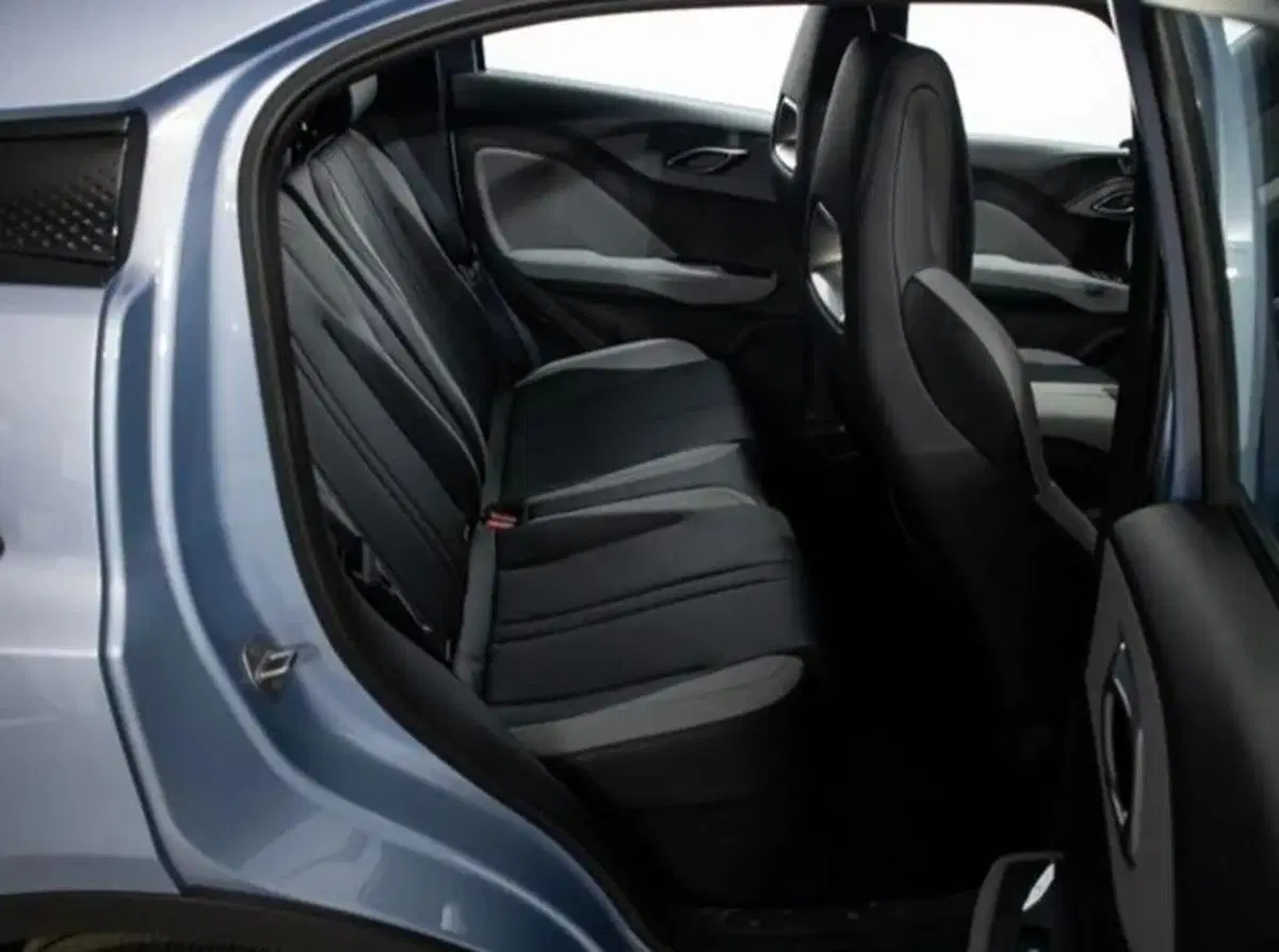 Byd Dolphin Surf usata a Bologna (7)