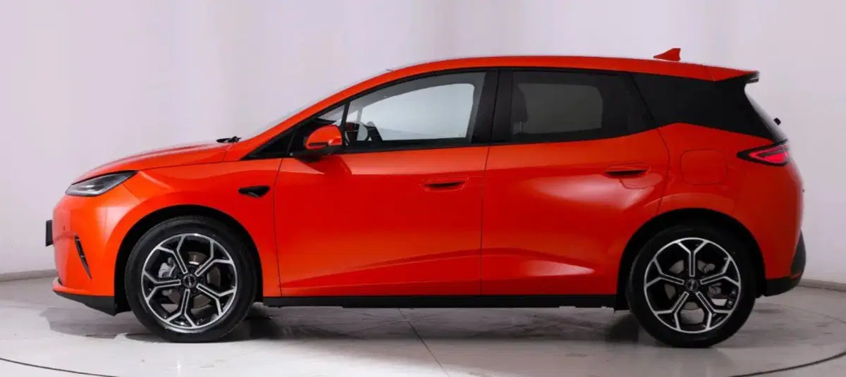 Byd Dolphin G DM-i usata a Bologna (3)