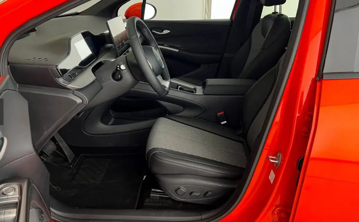 Byd Dolphin G DM-i usata a Bologna (7)
