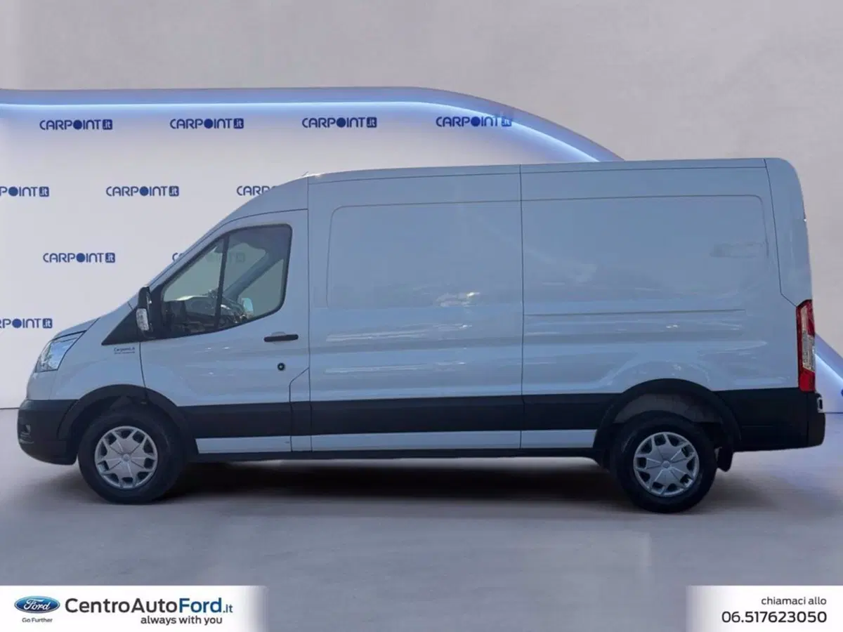 Ford Transit usata a Roma (2)