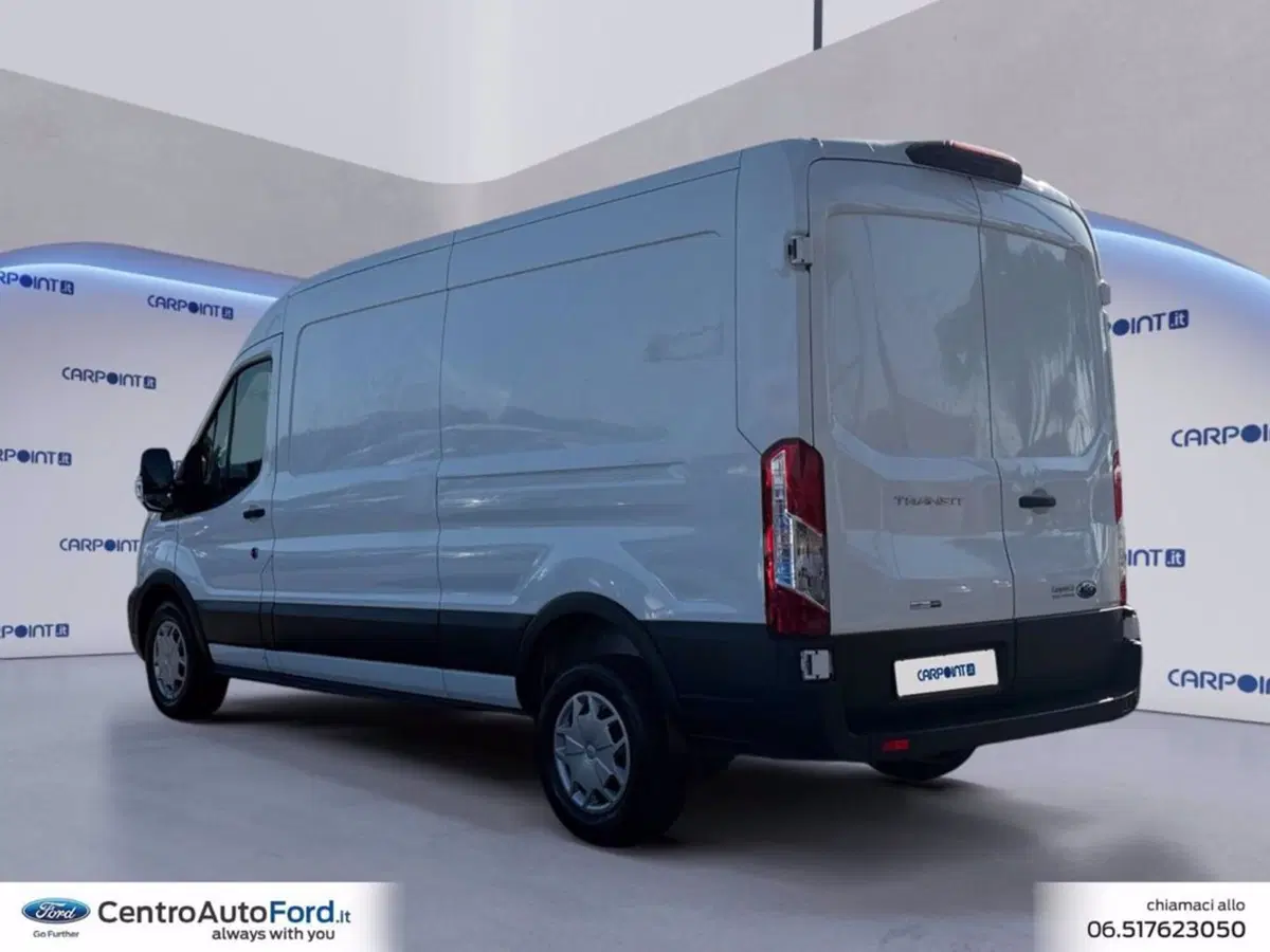 Ford Transit usata a Roma (3)