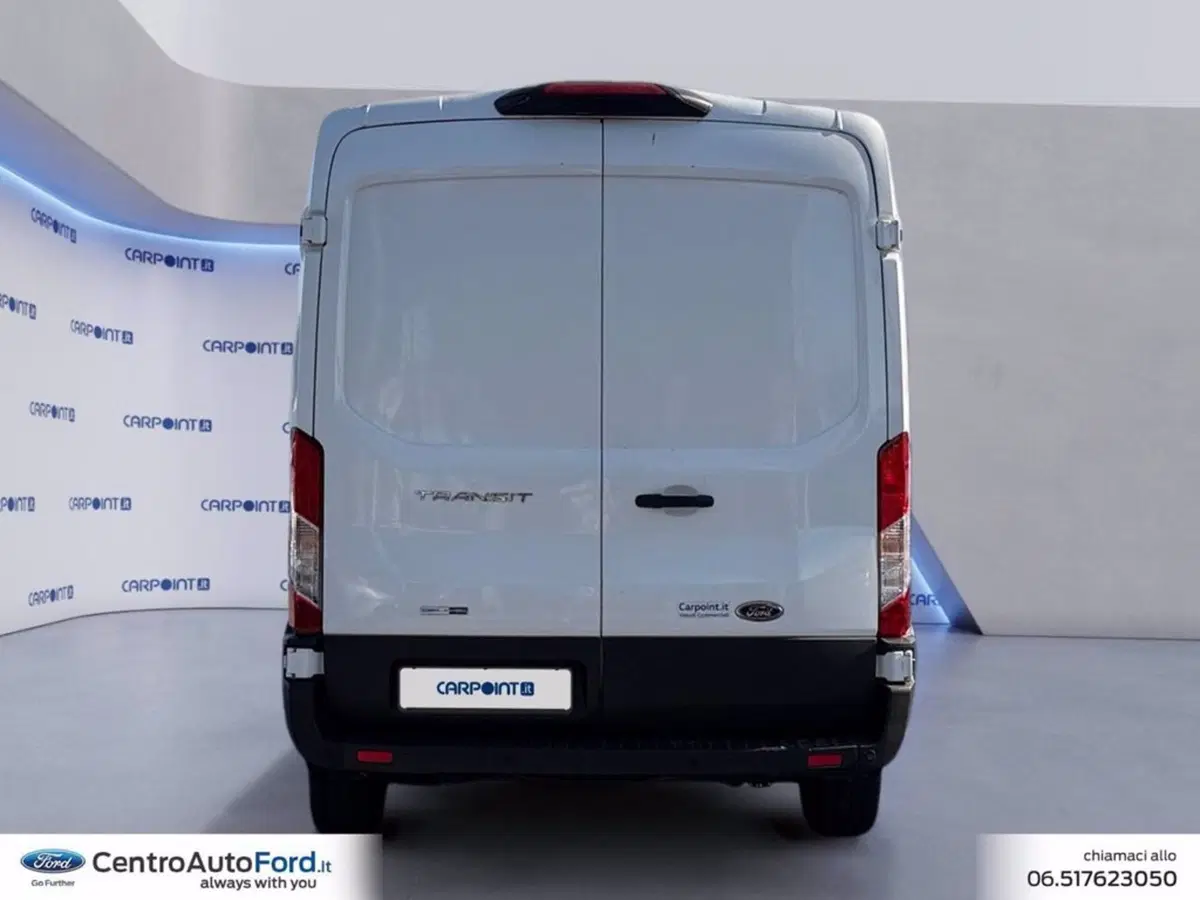 Ford Transit usata a Roma (4)
