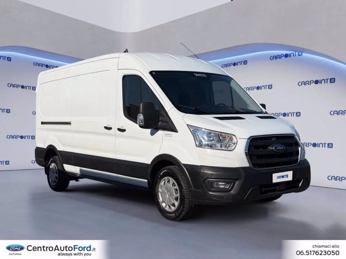 Ford Transit usata a Roma (7)